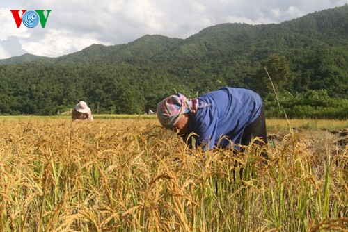 Вьетнам призывает партнеров продолжить содействовать ему в ликвидидации голода и бедности - ảnh 1